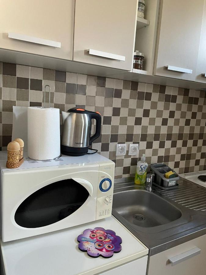 Apartmani Marija Zemun Zemun Polje Zewnętrze zdjęcie