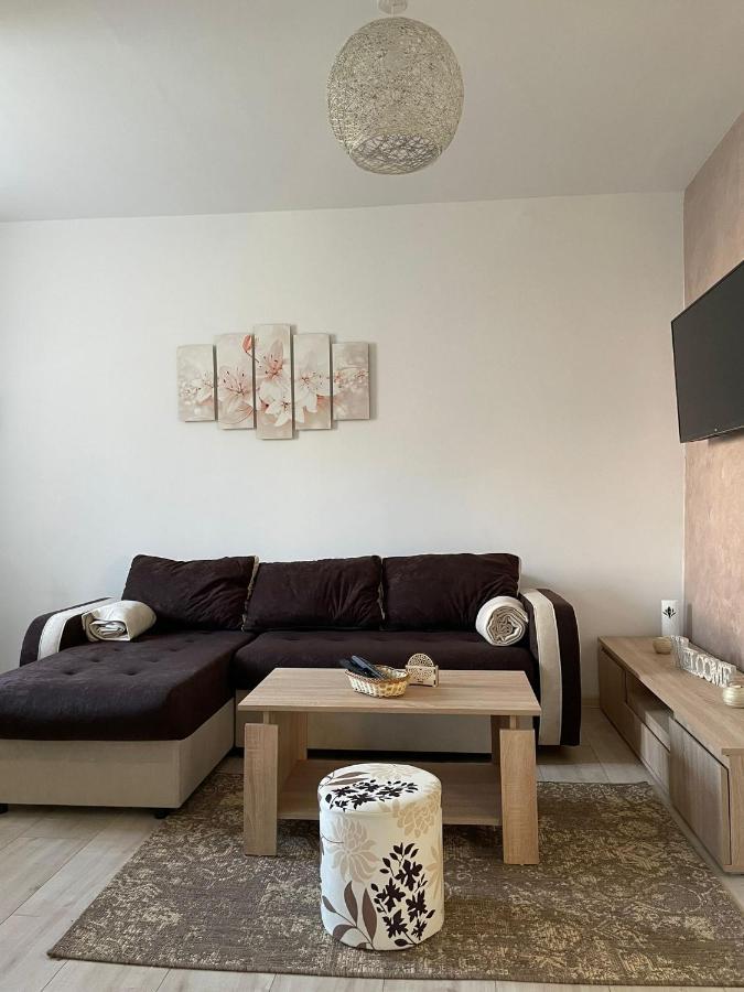 Apartmani Marija Zemun Zemun Polje Zewnętrze zdjęcie