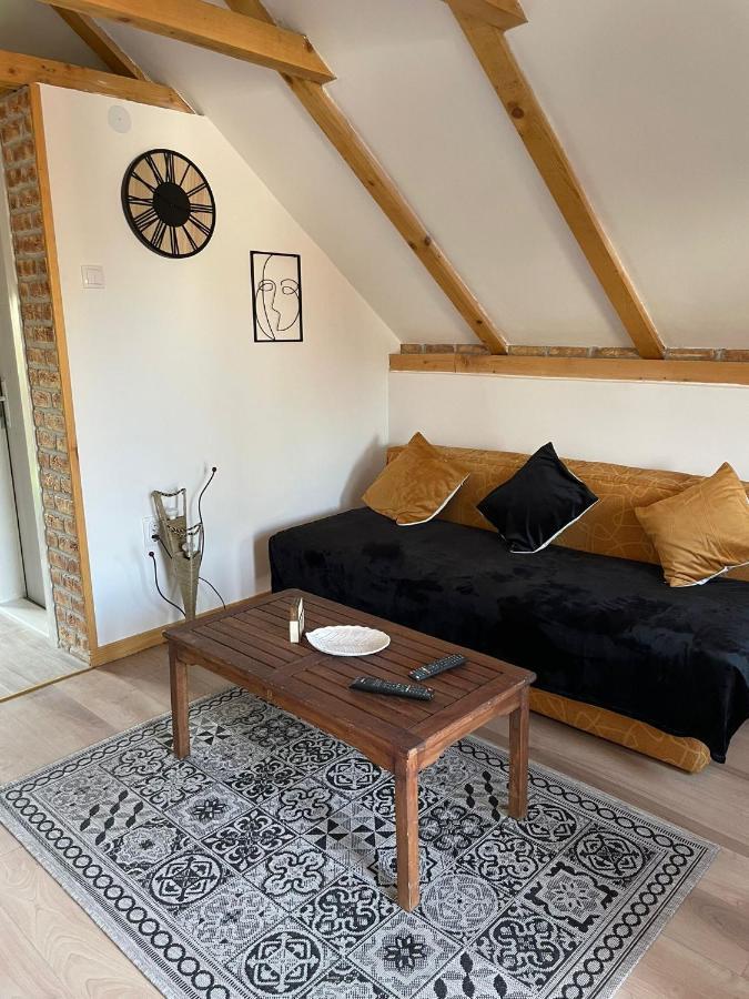 Apartmani Marija Zemun Zemun Polje Zewnętrze zdjęcie