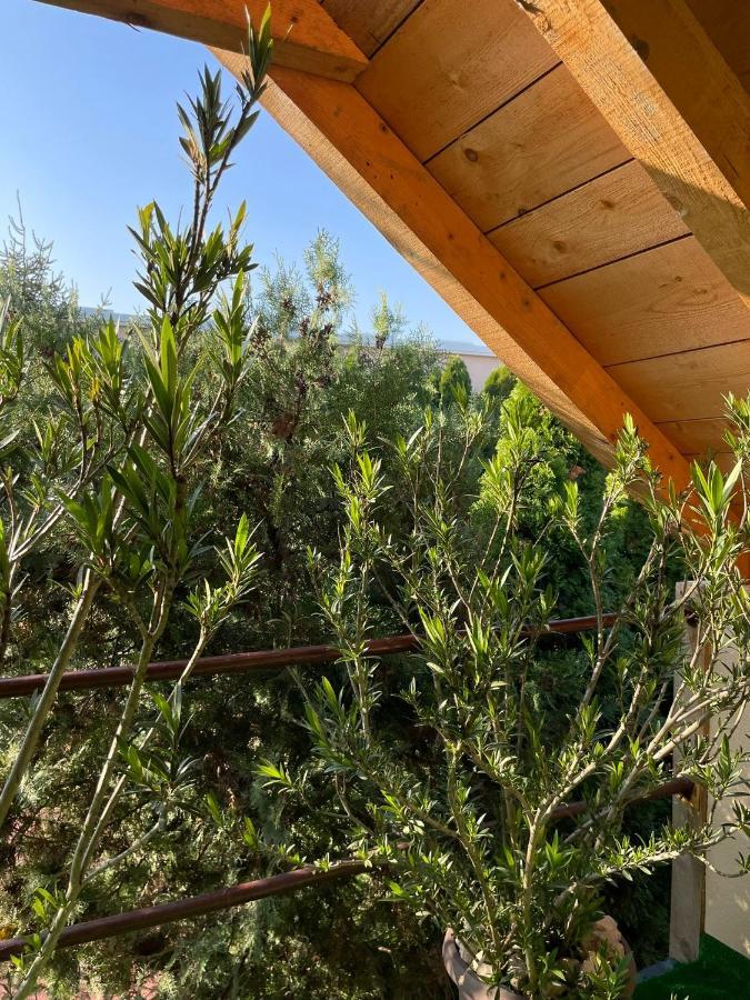 Apartmani Marija Zemun Zemun Polje Zewnętrze zdjęcie