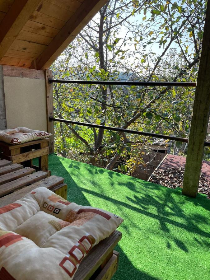 Apartmani Marija Zemun Zemun Polje Zewnętrze zdjęcie
