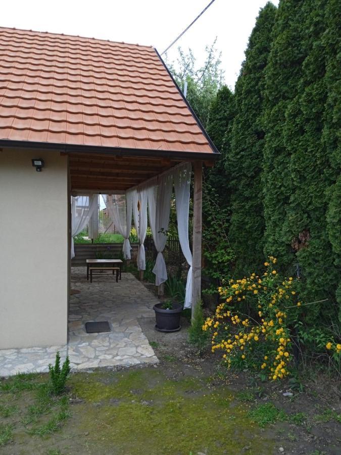 Apartmani Marija Zemun Zemun Polje Zewnętrze zdjęcie