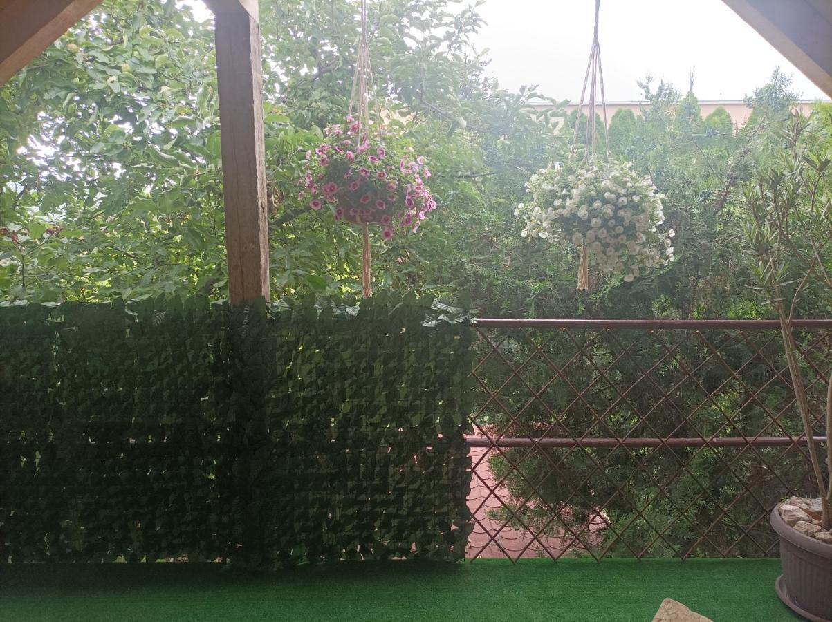 Apartmani Marija Zemun Zemun Polje Zewnętrze zdjęcie